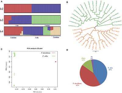 Genomic Differentiation and Demographic Histories of Two Closely Related Salicaceae Species